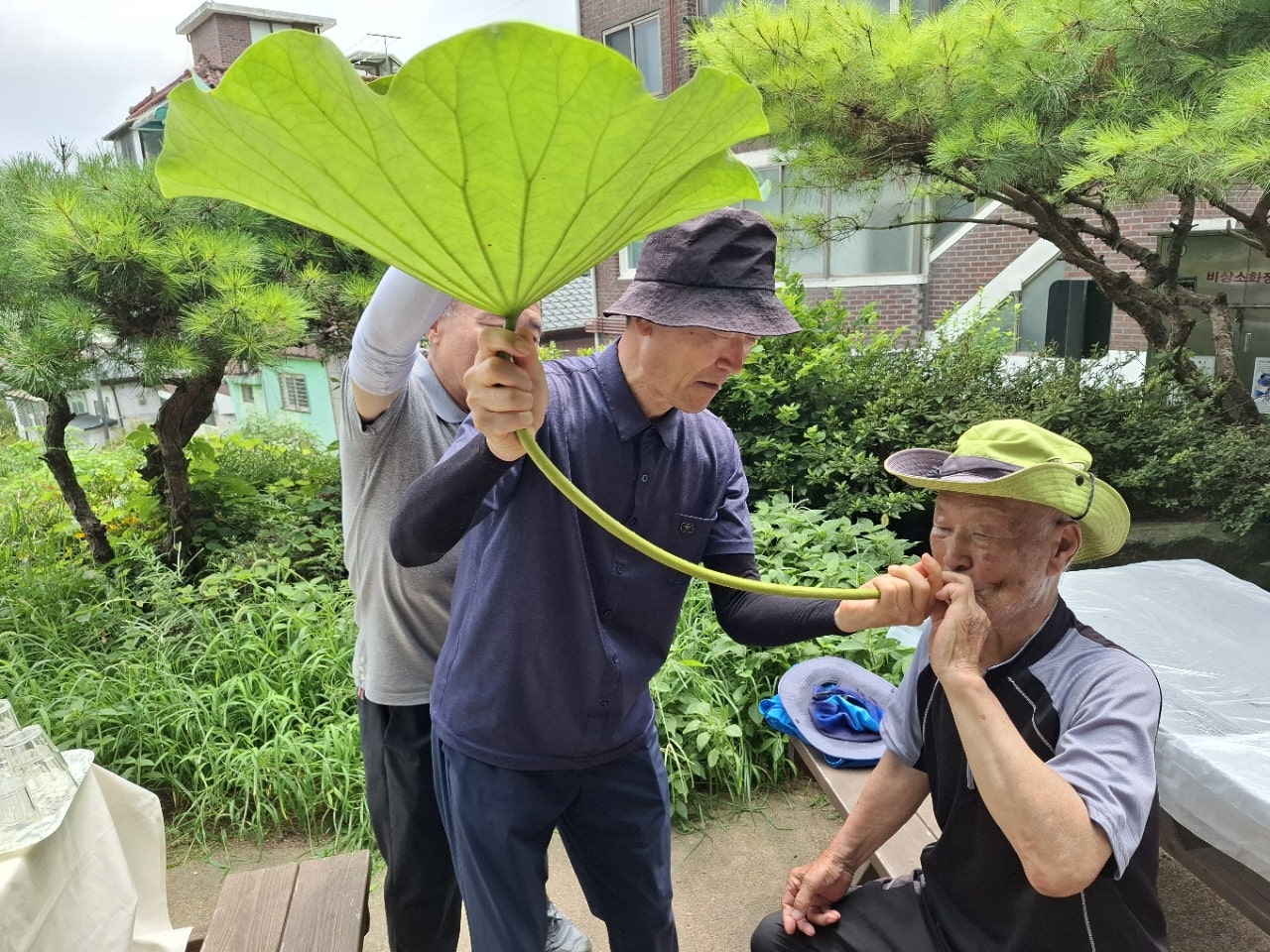 사용자가 올린 이미지