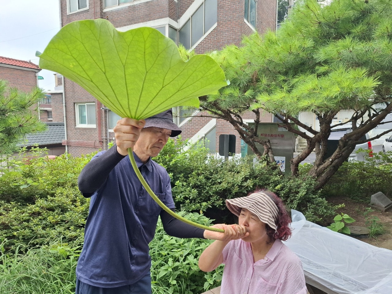 사용자가 올린 이미지