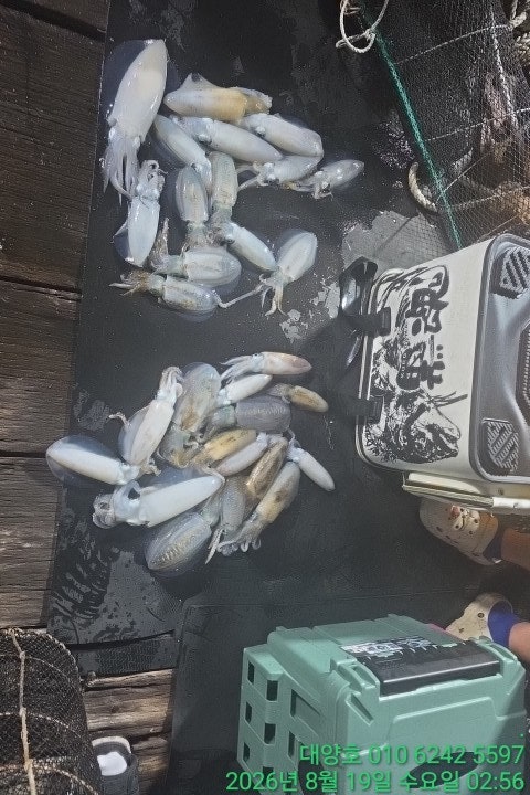 ����ڰ� �ø� �̹���