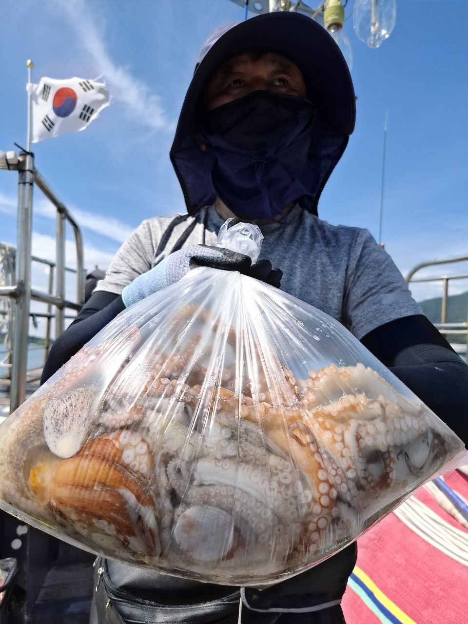 사용자가 올린 이미지