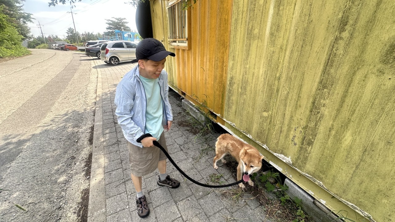 사용자가 올린 이미지