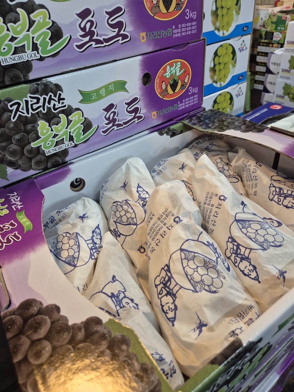 캠벨 포도 2송이