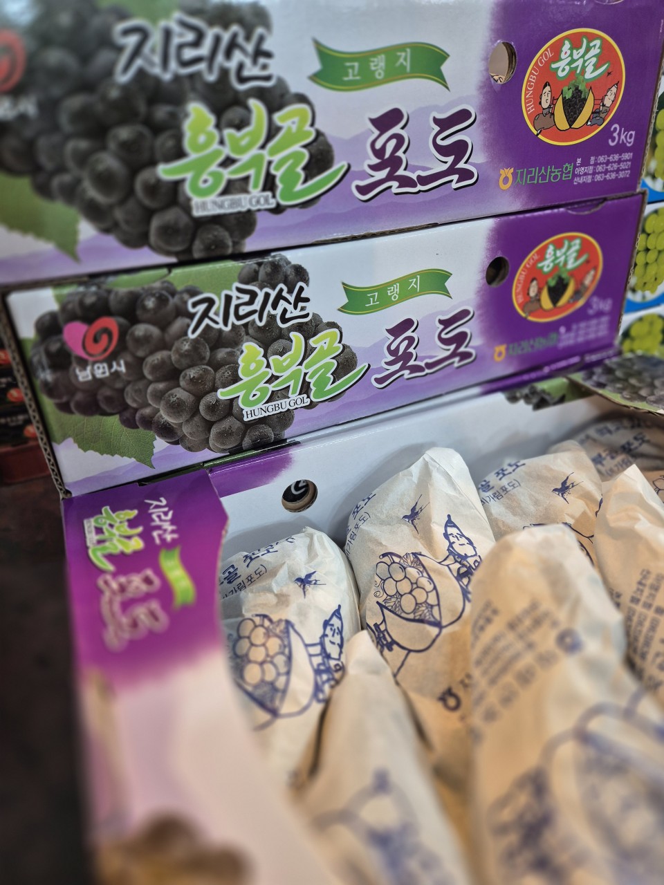 캠벨 포도 2송이
