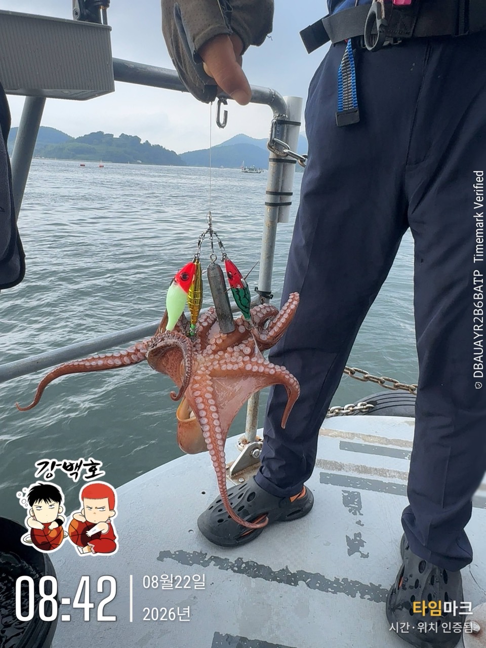 8월 22일 삼천포 문어낚시 장원 11마리 출조 사진 18