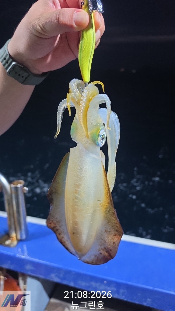 ����ڰ� �ø� �̹���