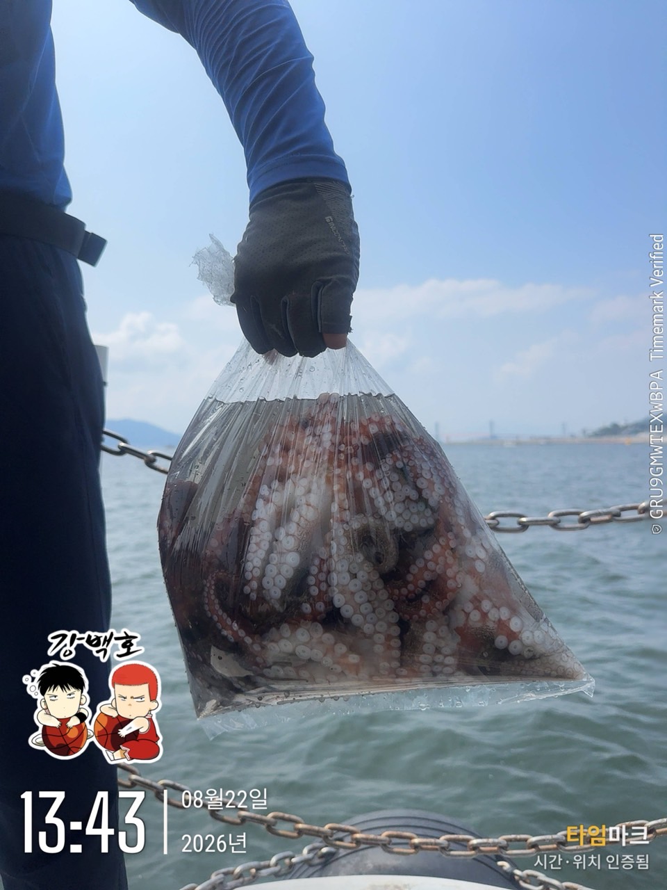 8월 22일 삼천포 문어낚시 장원 11마리 출조 사진 3