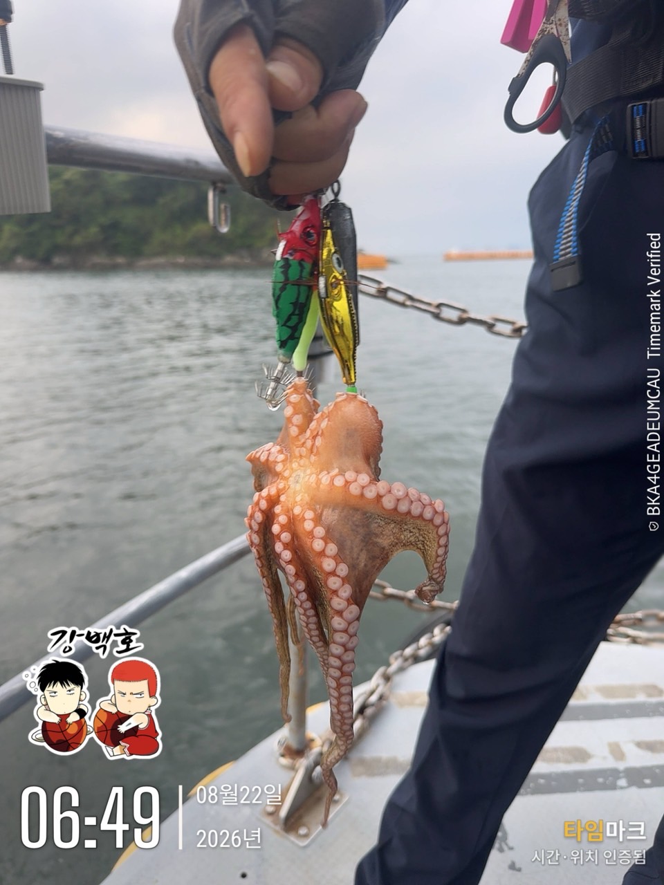 8월 22일 삼천포 문어낚시 장원 11마리 출조 사진 12