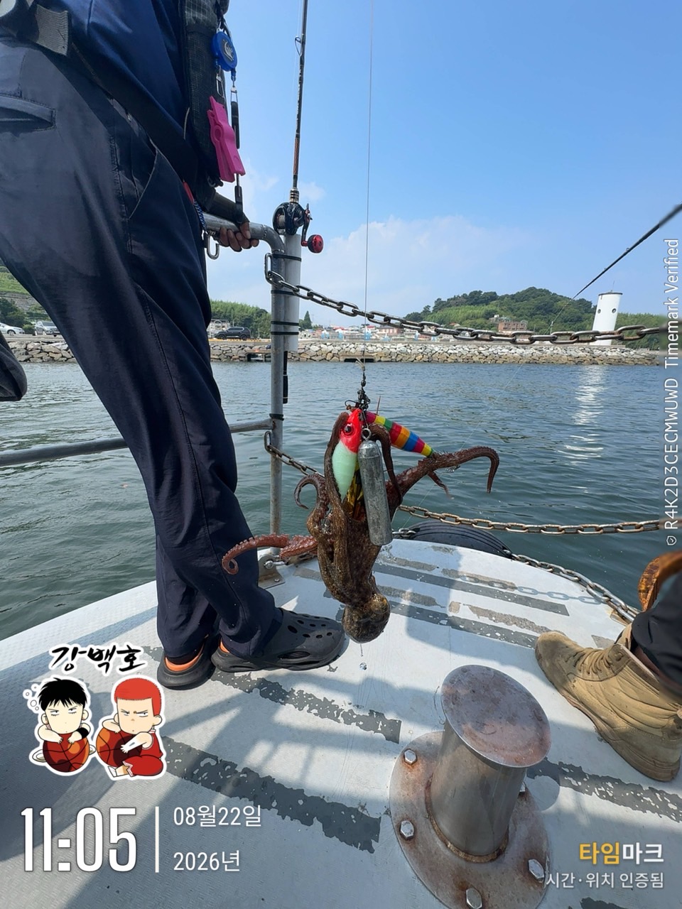 8월 22일 삼천포 문어낚시 장원 11마리 출조 사진 23