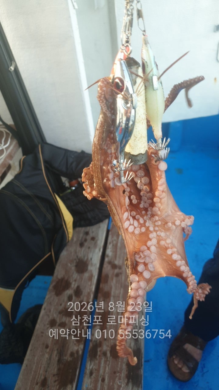 ����ڰ� �ø� �̹���