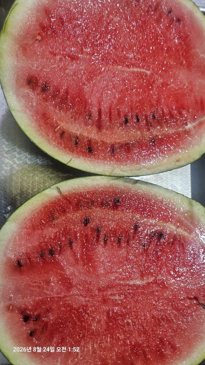 ����ڰ� �ø� �̹���
