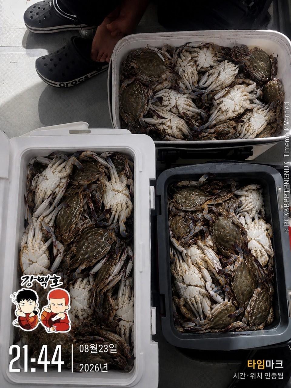 8월 24일 삼천포 야간 선상낚시 조황