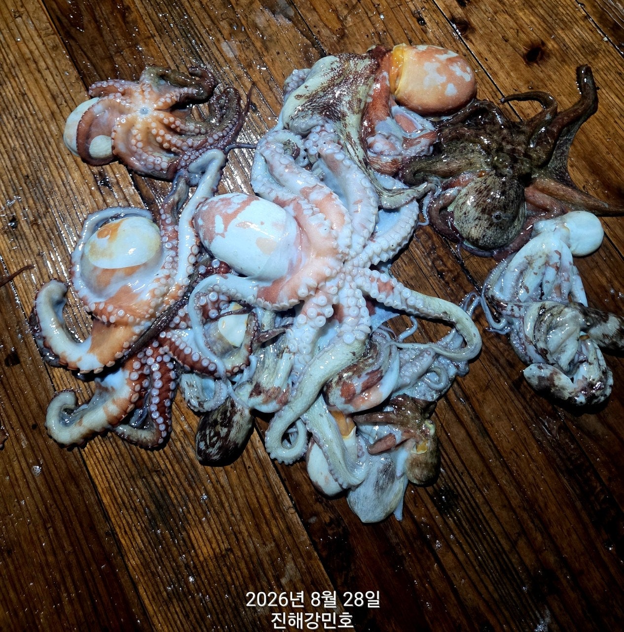 ����ڰ� �ø� �̹���