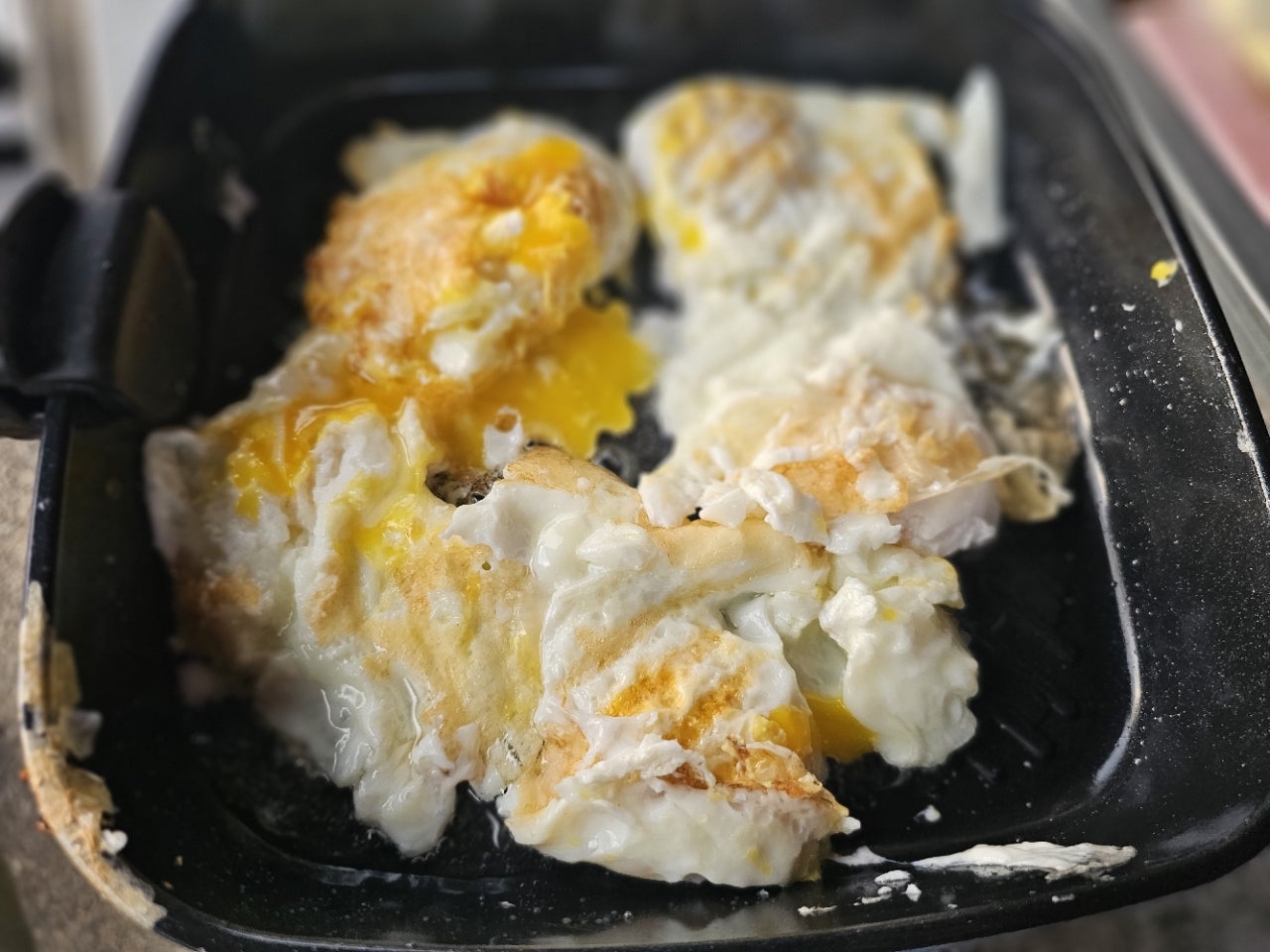 ����ڰ� �ø� �̹���