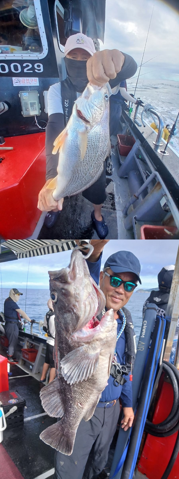 8월 31일 군산 주꾸미 선상낚시 조황 현장 사진 4
