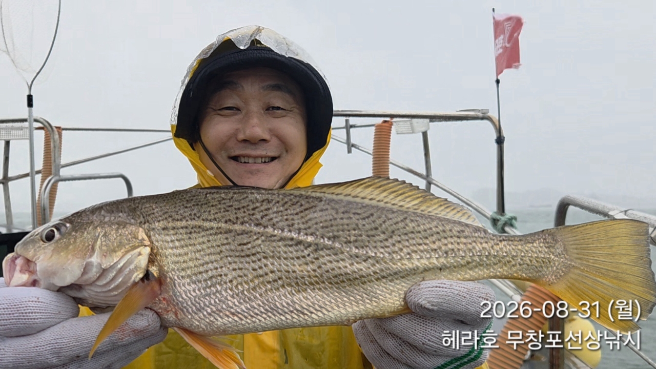 8월 31일 선상낚시 조황 현장 사진 7