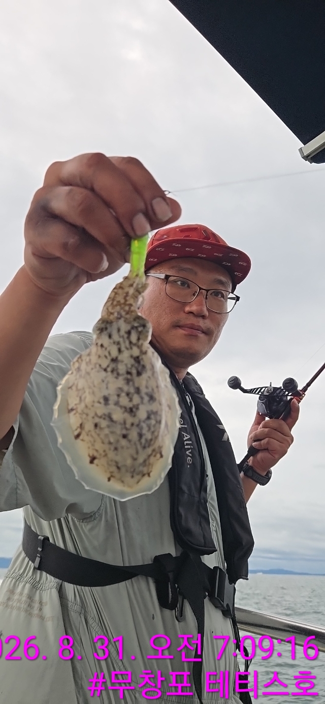 8월 31일 갑오징어 선상낚시 조황 현장 사진 5