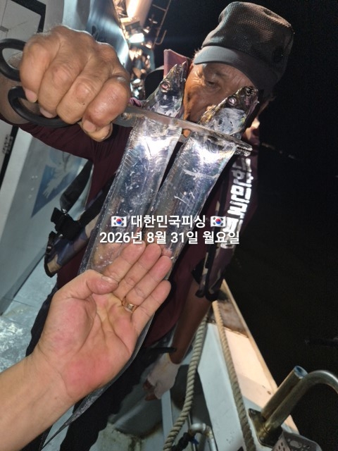 8월 31일 선상낚시 조황 현장 사진 3