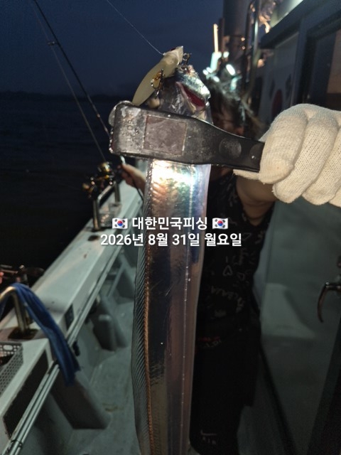 8월 31일 선상낚시 조황 현장 사진 5