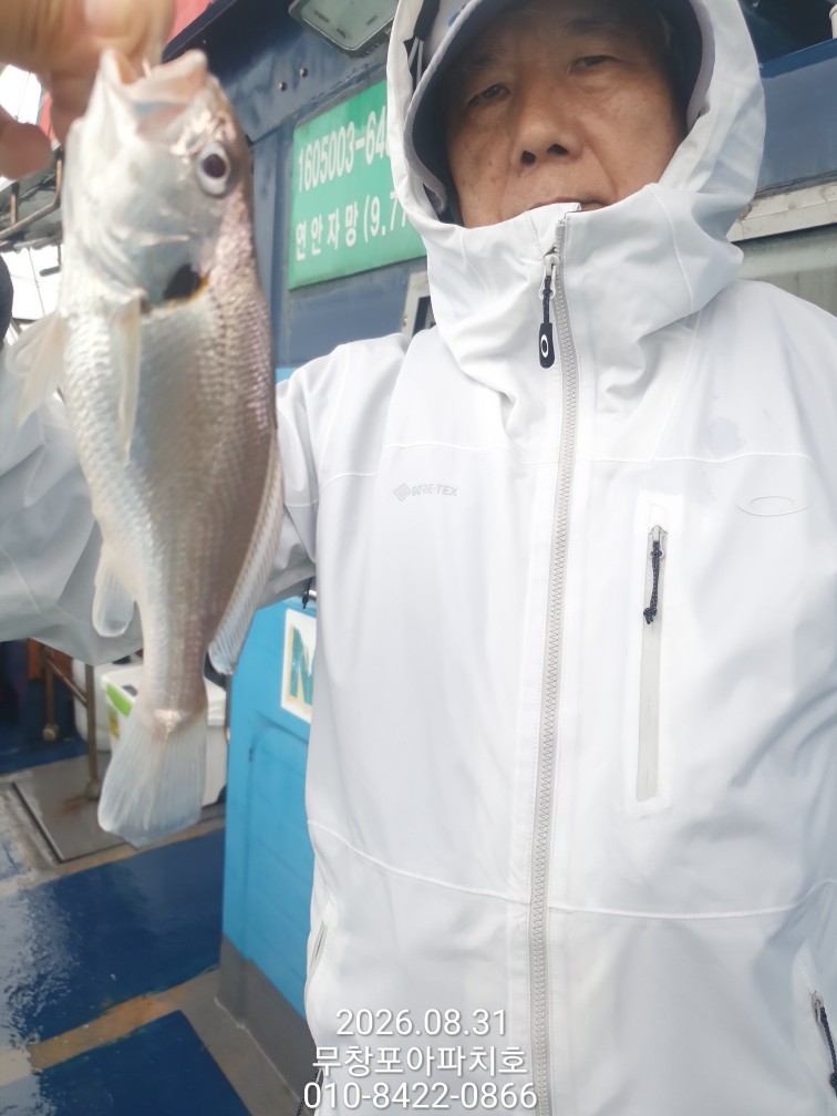 9월 1일 포항 주꾸미 선상낚시 조황 현장 사진 7