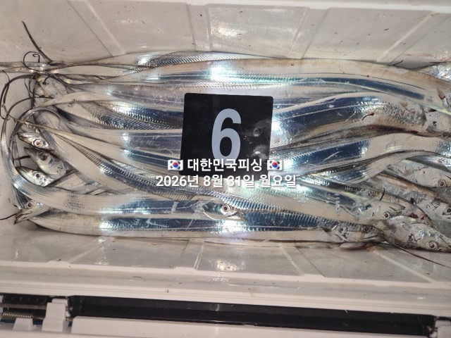 8월 31일 선상낚시 조황 현장 사진 10