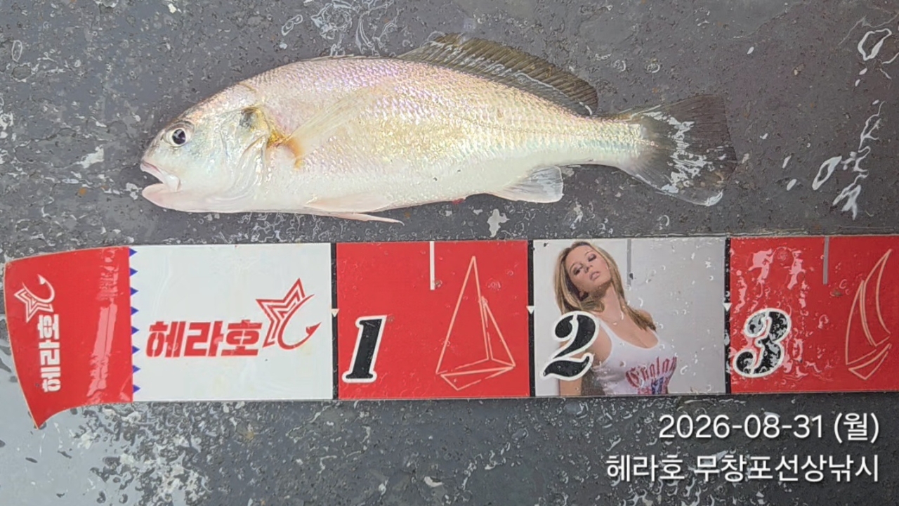 8월 31일 선상낚시 조황 현장 사진 8