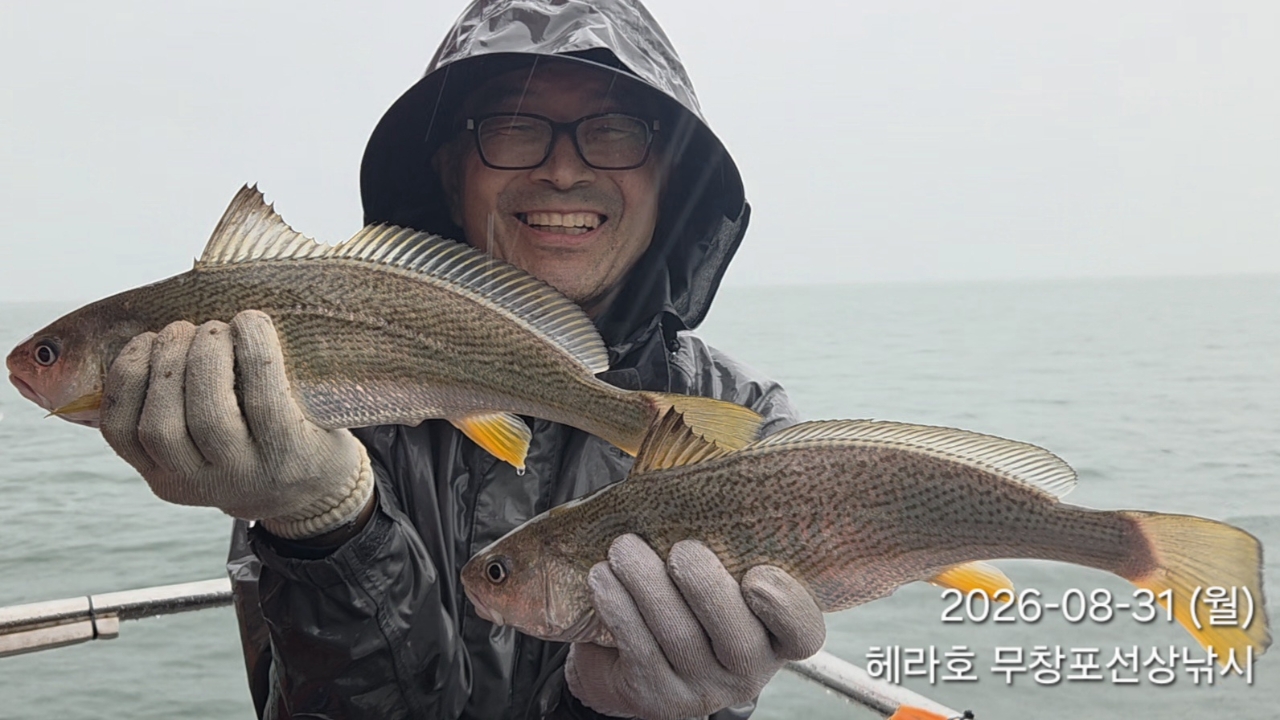 8월 31일 선상낚시 조황 현장 사진 2
