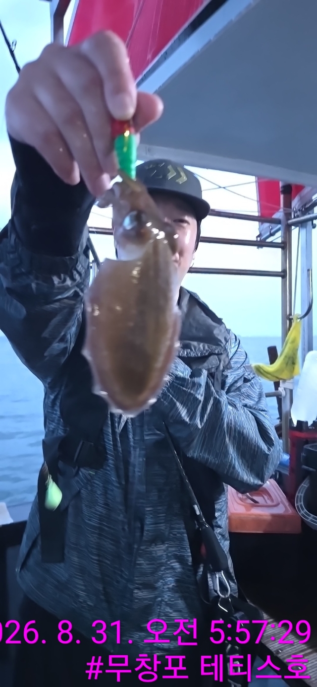 8월 31일 갑오징어 선상낚시 조황 현장 사진 10