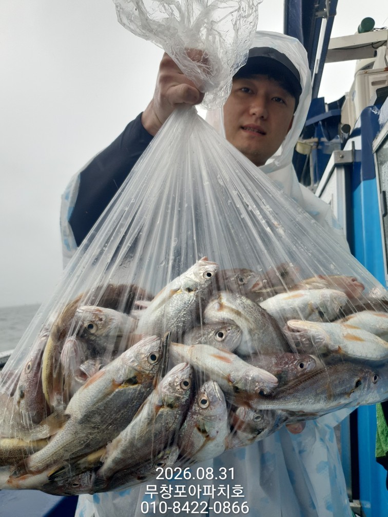 9월 1일 포항 주꾸미 선상낚시 조황 현장 사진 1