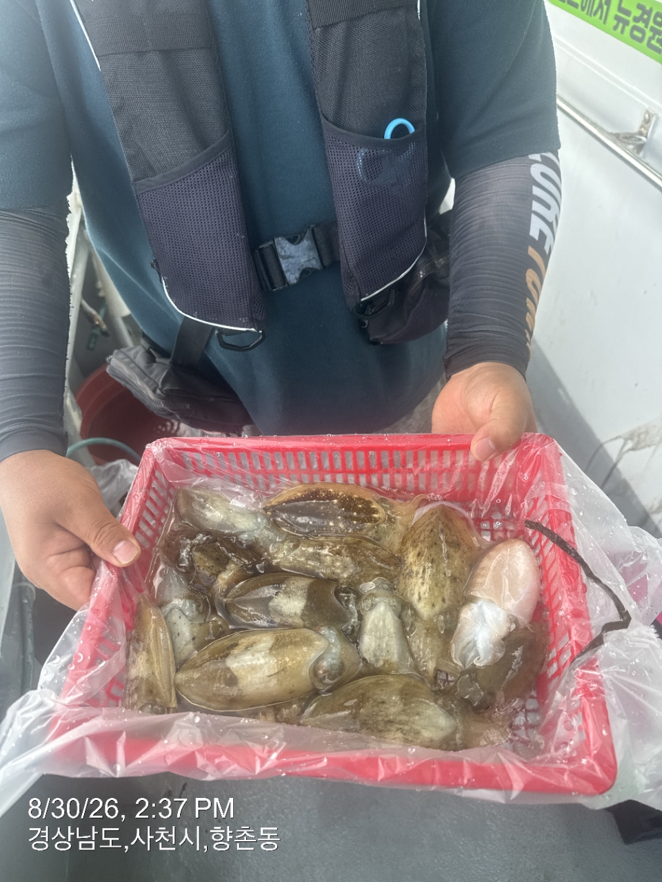 8월 31일 삼천포 갑오징어 선상낚시 조황 현장 사진 2