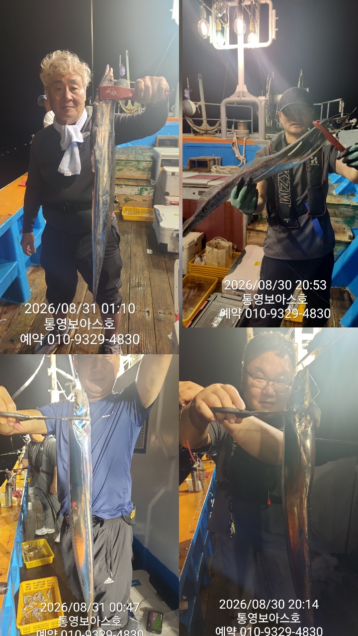 8월 31일 통영 갈치 선상낚시 조황 현장 사진 4