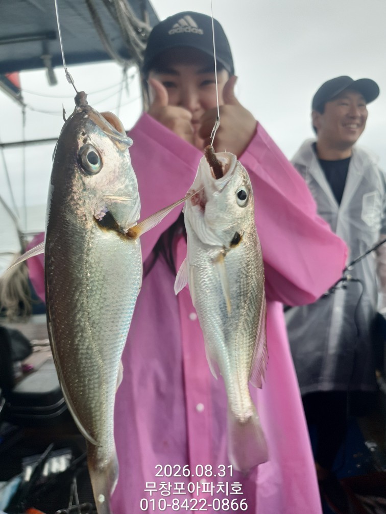 9월 1일 포항 주꾸미 선상낚시 조황 현장 사진 4