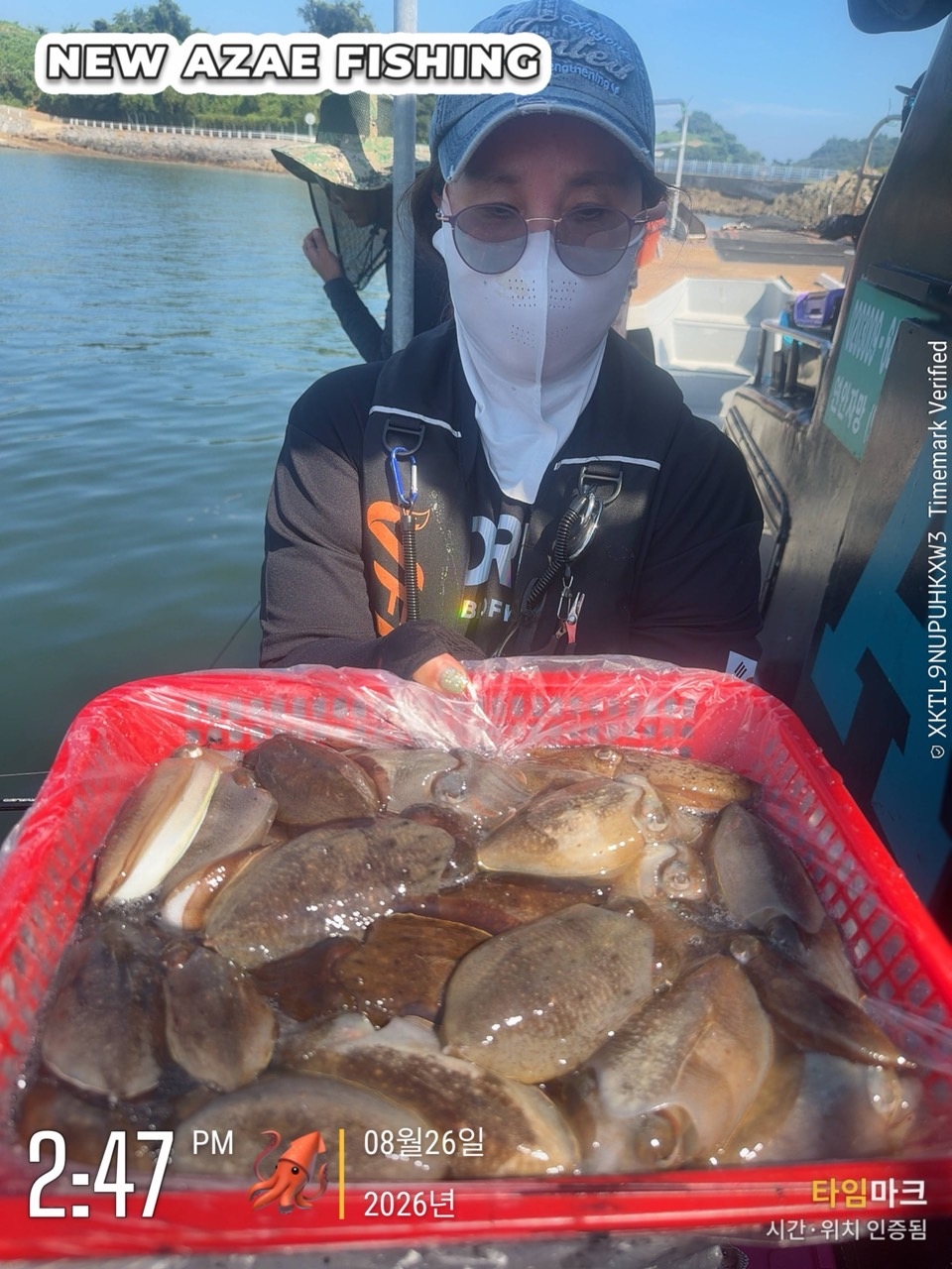 8월 31일 삼천포 갑오징어 선상낚시 조황 현장 사진 8