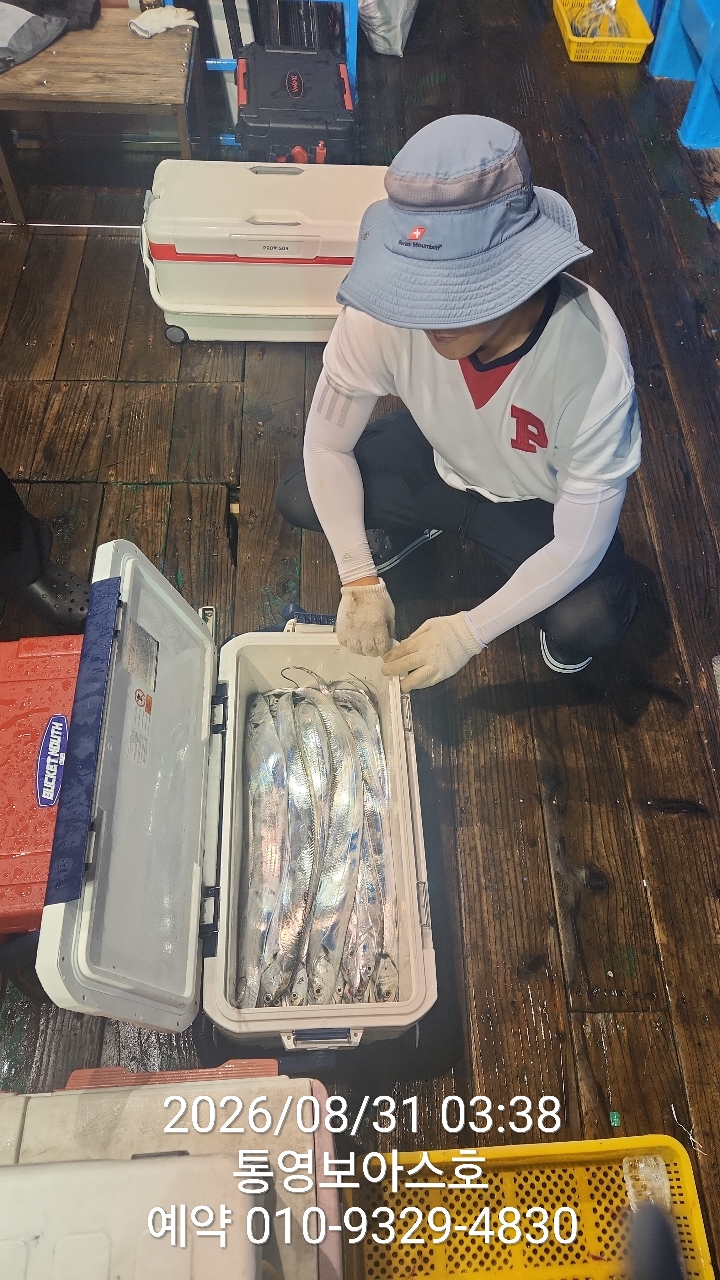 8월 31일 통영 갈치 선상낚시 조황 현장 사진 2