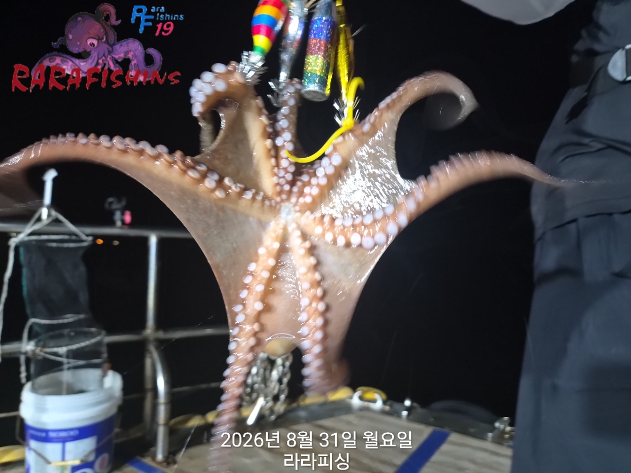 8월 31일 진해 문어 선상낚시 조황 현장 사진 8