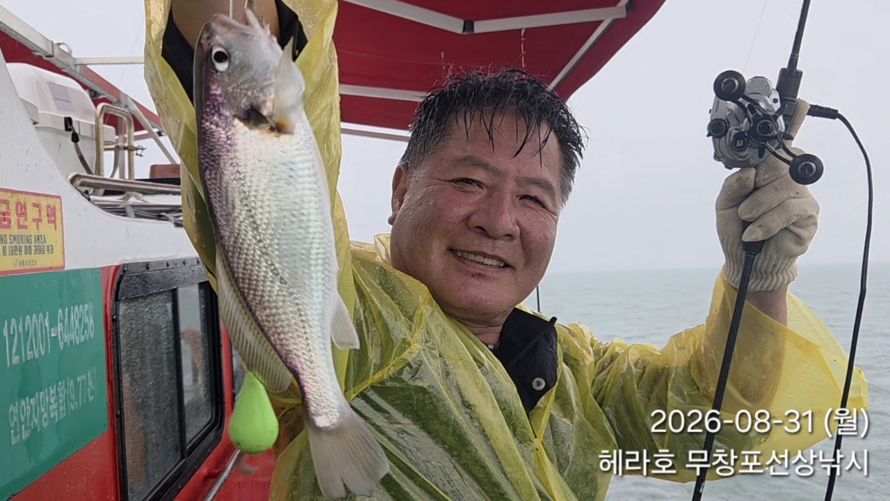 8월 31일 선상낚시 조황 현장 사진 5