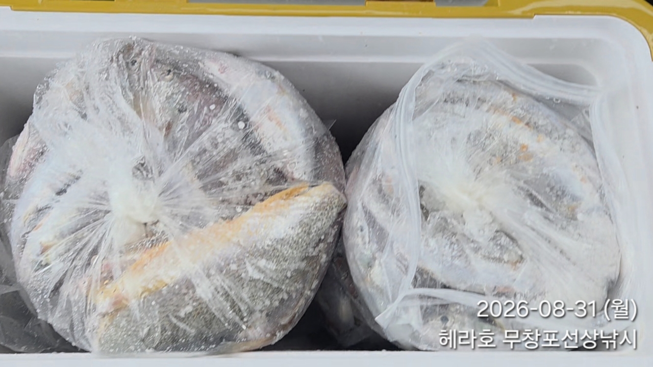 8월 31일 선상낚시 조황 현장 사진 10