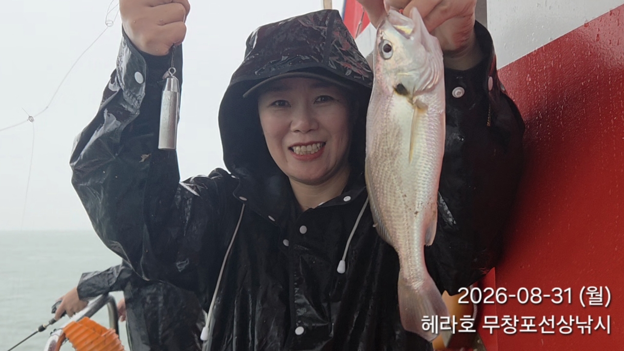 8월 31일 선상낚시 조황 현장 사진 4