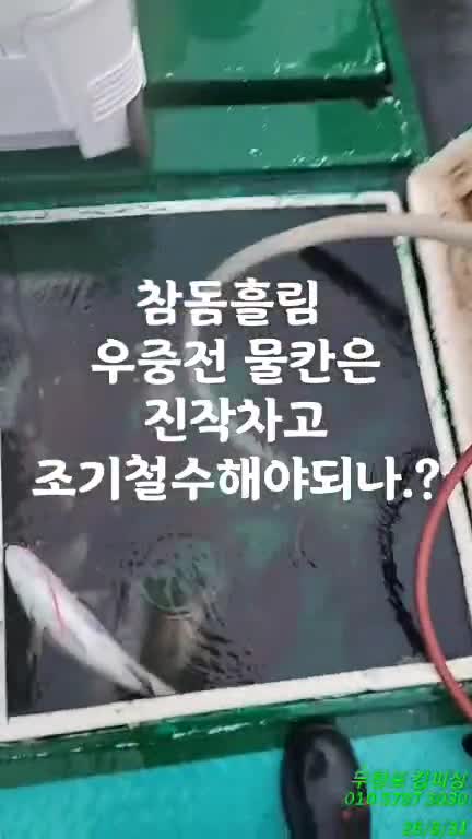8월 31일 선상낚시 조황 현장 사진 1