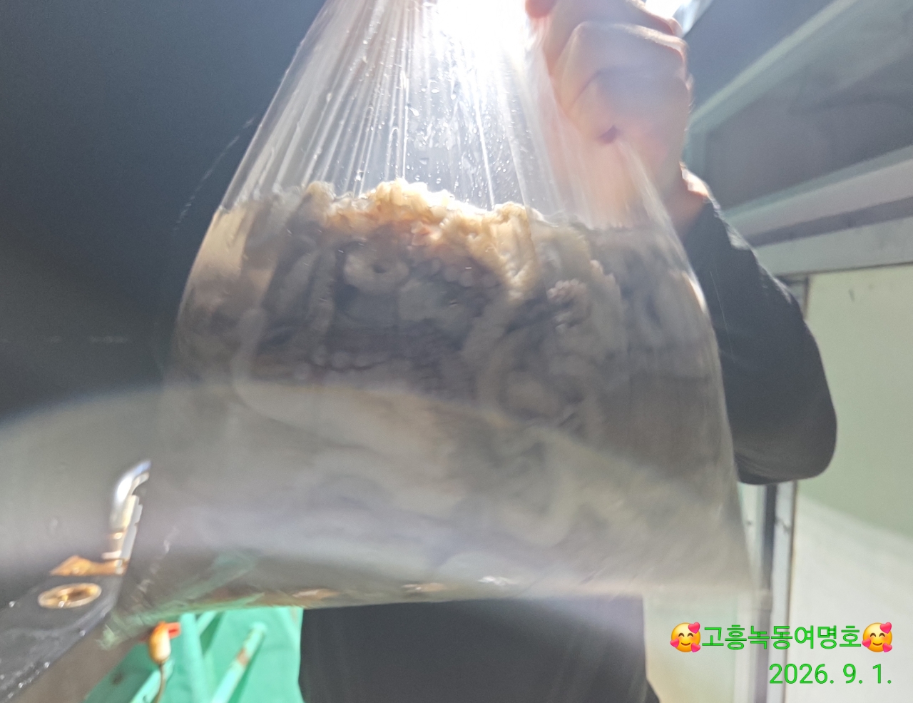 9월 1일 고흥 문어 선상낚시 조황 현장 사진 9