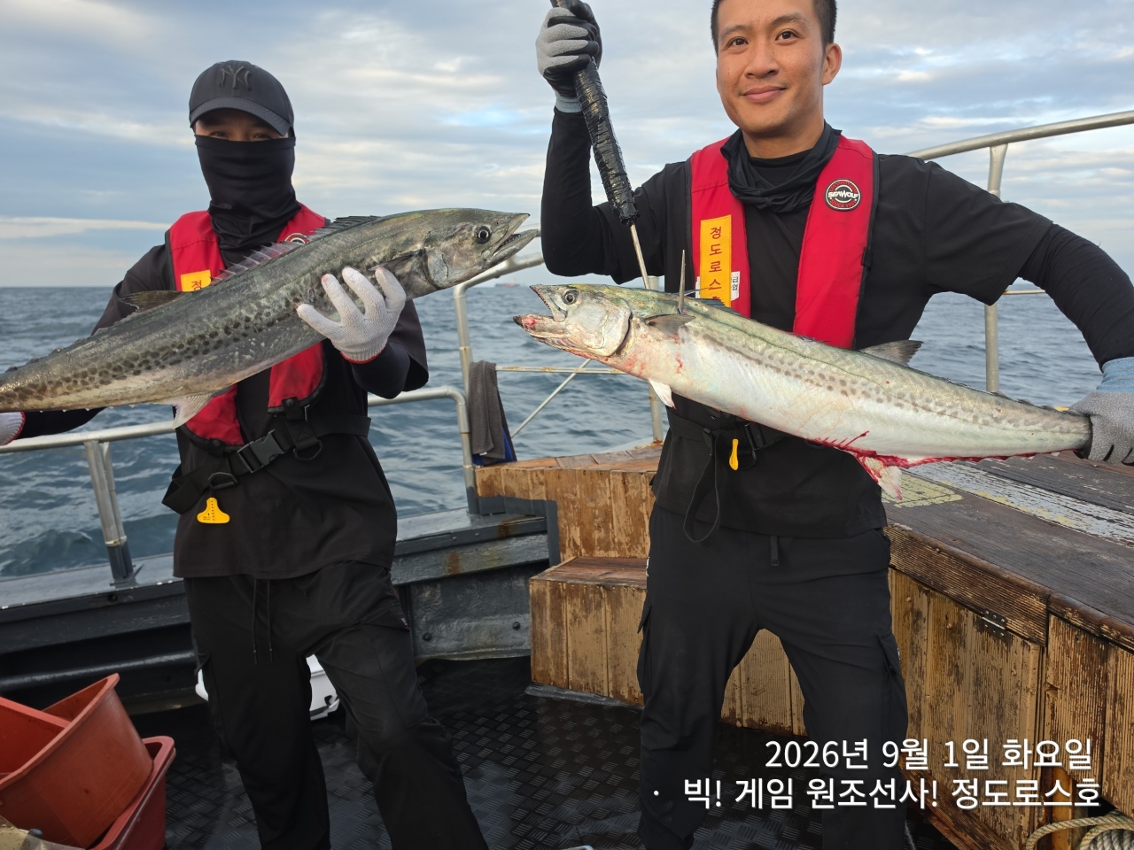 9월 1일 포항 무늬오징어 선상낚시 조황 현장 사진 9