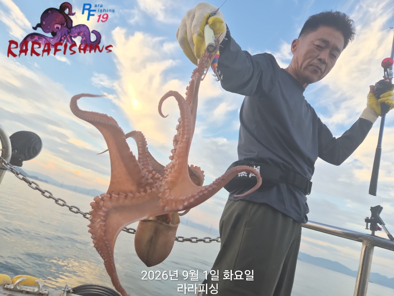 9월 1일 진해 문어 선상낚시 조황 현장 사진 10