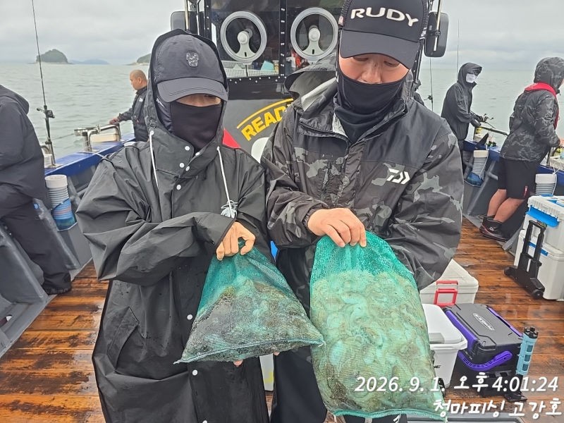 9월 1일 인천 갑오징어 선상낚시 조황 현장 사진 27