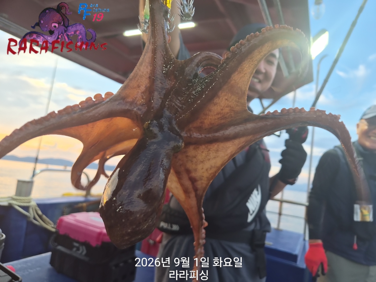 9월 1일 진해 문어 선상낚시 조황 현장 사진 7