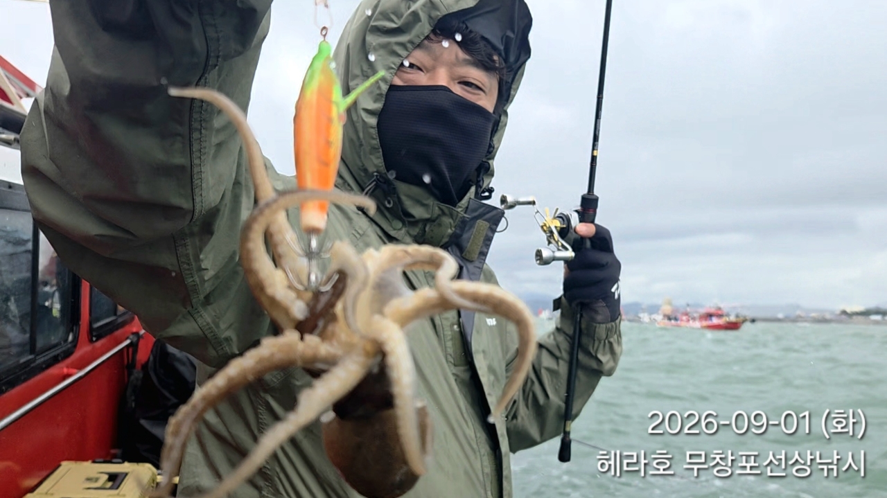 9월 1일 주꾸미 선상낚시 조황 현장 사진 6