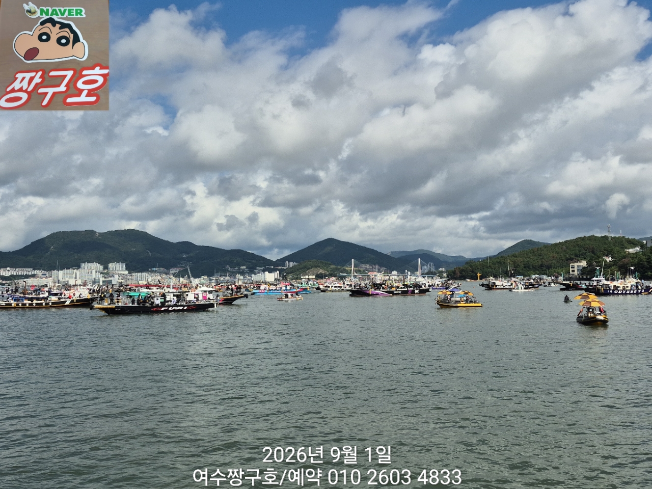 9월 1일 여수 문어 선상낚시 조황 현장 사진 34