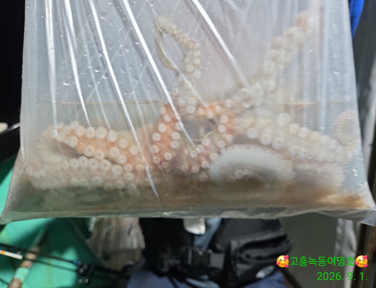 9월 1일 고흥 문어 선상낚시 조황 현장 사진 10