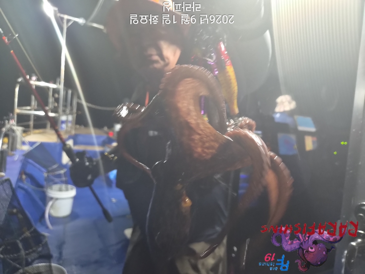 9월 1일 진해 문어 선상낚시 조황 현장 사진 6