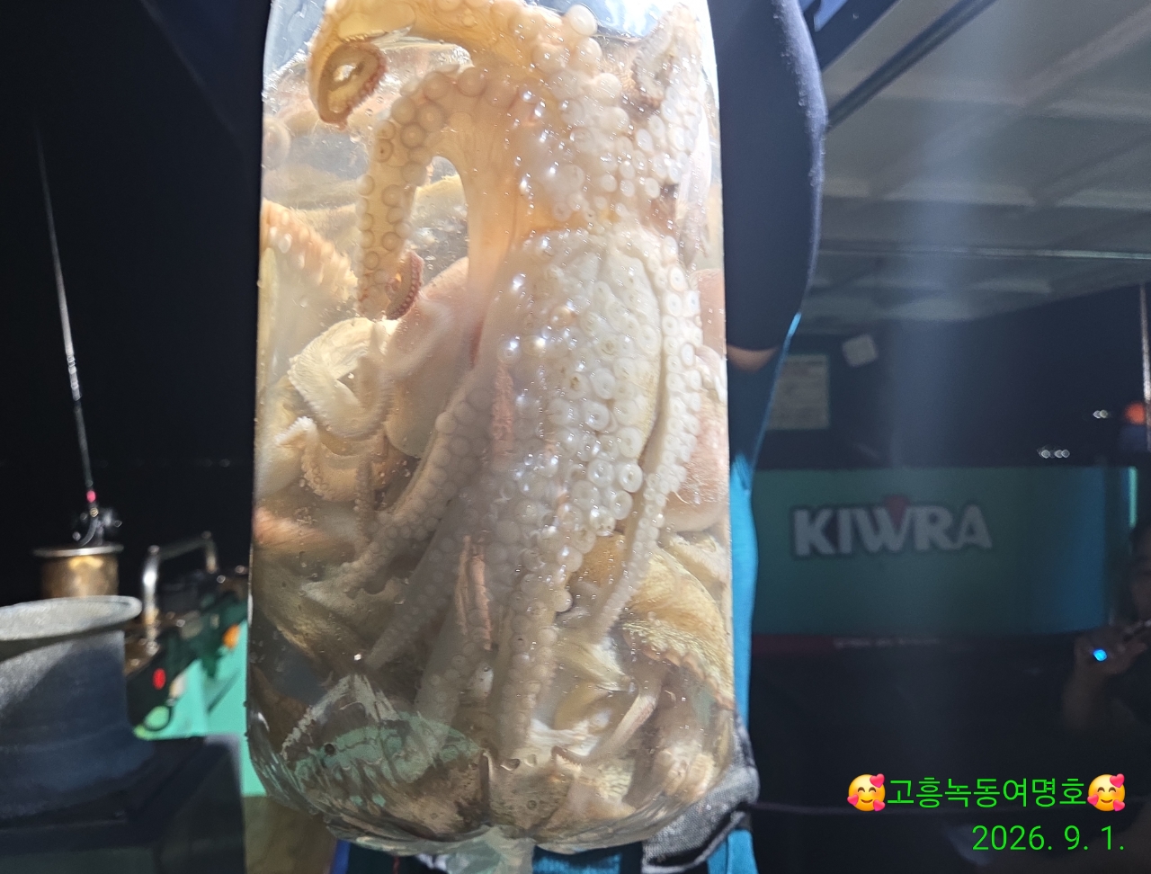 9월 1일 고흥 문어 선상낚시 조황 현장 사진 4