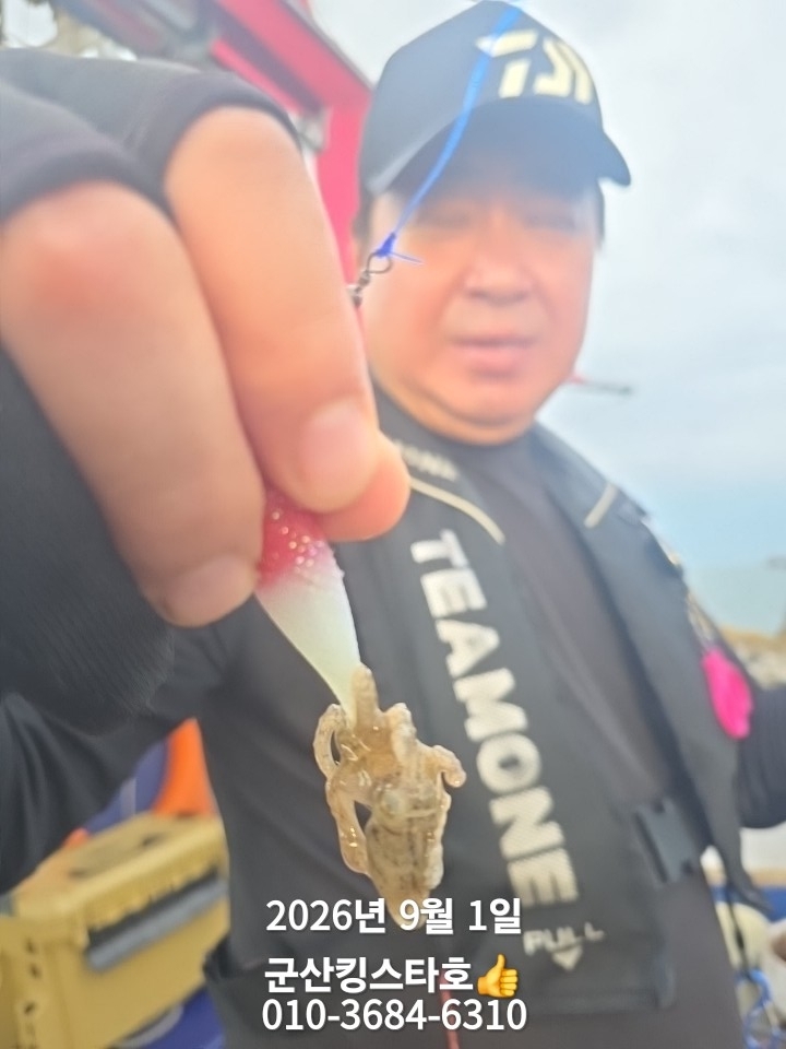 9월 1일 군산 주꾸미 선상낚시 조황 현장 사진 9