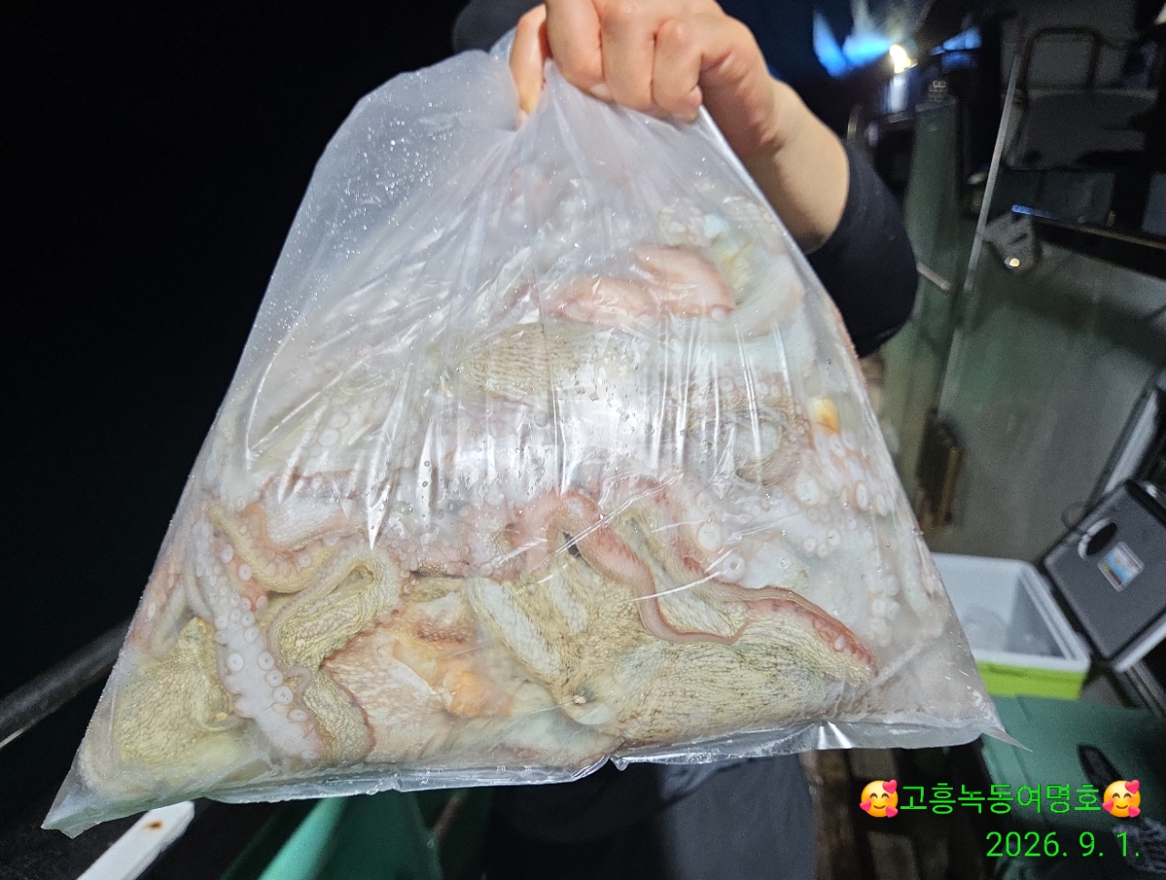 9월 1일 고흥 문어 선상낚시 조황 현장 사진 6